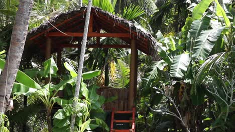 still shot of a tree house in the jungle