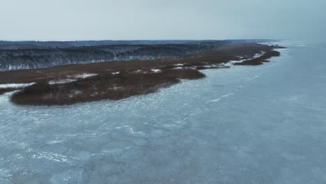 panoramic view the shore of a large body of water is covered with tall grass in winter, and further on there is a forest of tall trees