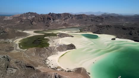 view of the beach of balandra in baja california in mexico