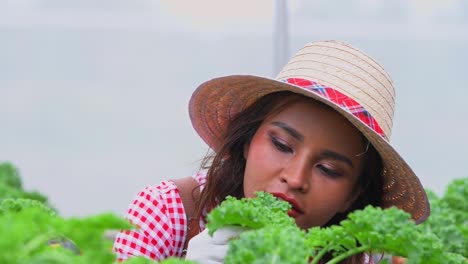 agricultor comprobando verduras orgánicas frescas en la granja inteligente hidropónica, producir cosecha de verduras agricultura con negocios, concepto de alimentos limpios y saludables.