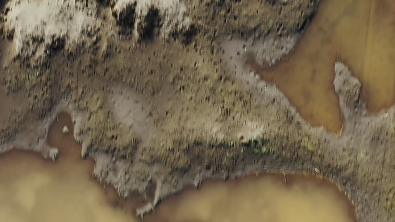 Vista aerea di uno stagno fangoso in Cile con vegetazione circostante.