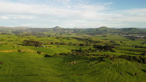 vast lush greenery in karitane dunedin area in new zealand, aerial fly forward