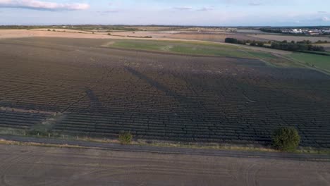 Flying-across-farmland-to-reveal-beautiful-rolling-fields