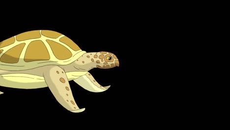 la tortuga amarilla nada bajo el agua 4k compañero alfa
