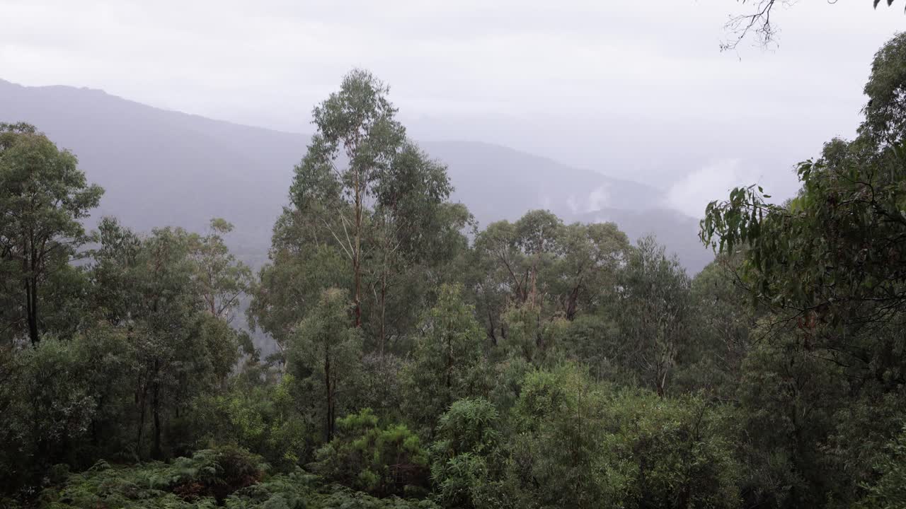 구름이 많고 비가 오는 날 알파인 길에 있는 스캐멜스 리지 전망대에서  ⁇ 드헬드 영상