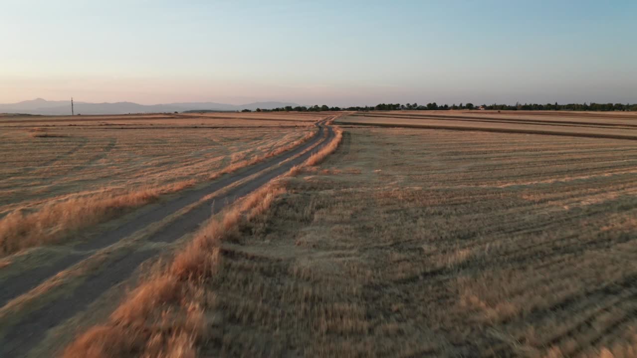 Flying low over a wheat field at sunset, spain
