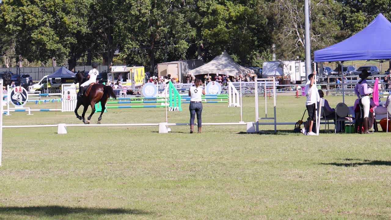 Rider and horse performing in a show jumping event