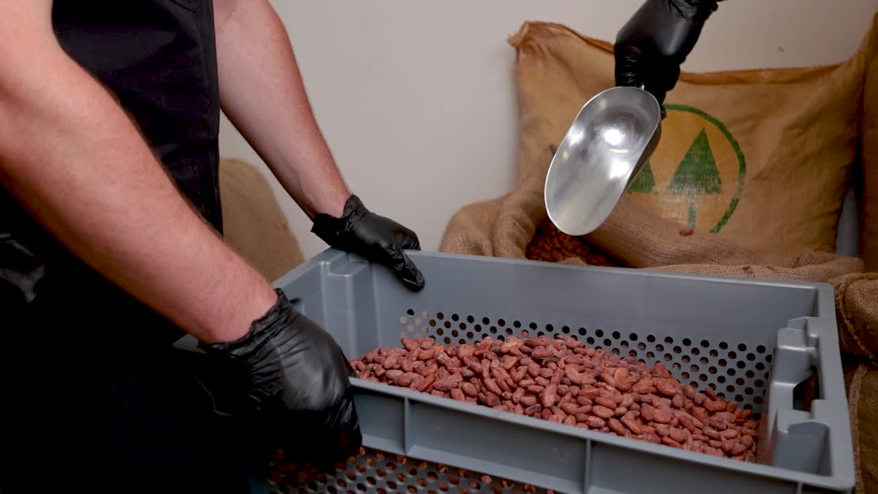 카카오 콩 가공