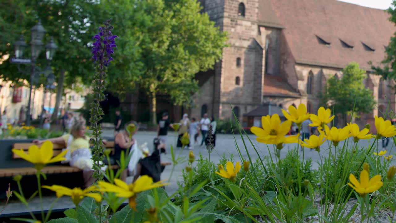 Camera glides past blooming yellow flowers with historic church and people in evening sunlight
