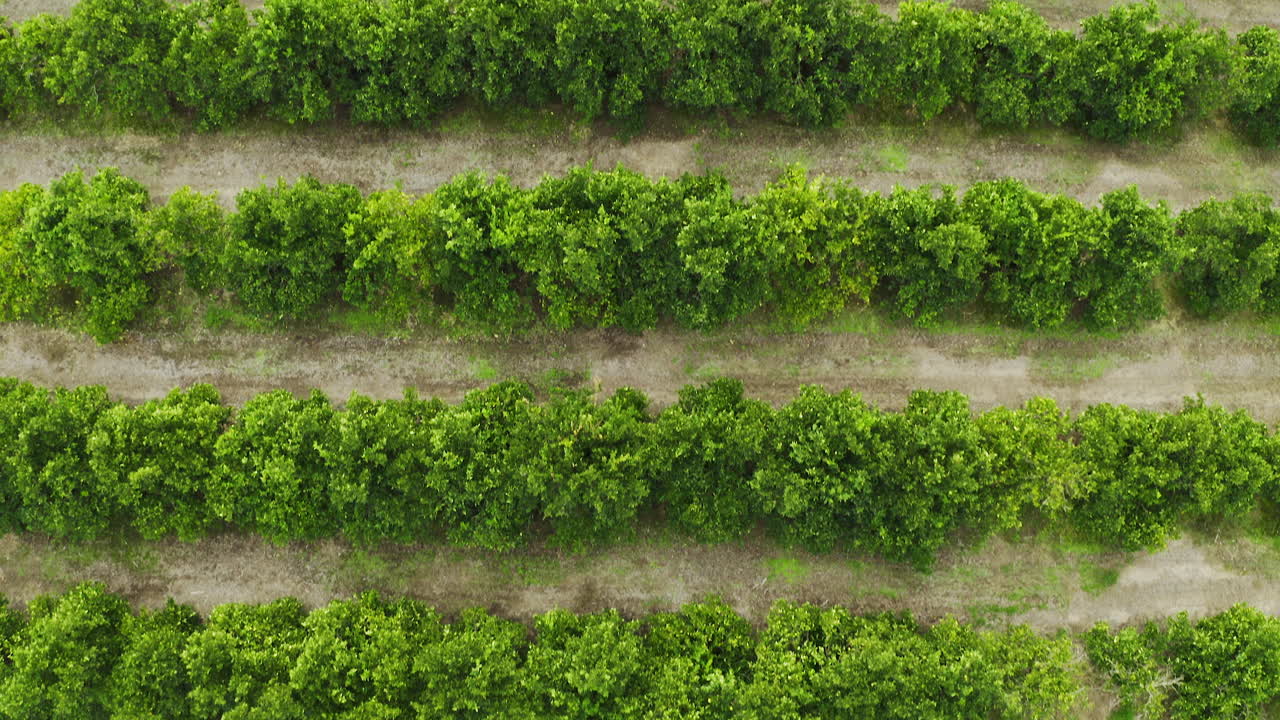 Grow at nature's pace