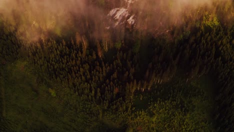 sunrise or sunset over mountain forest