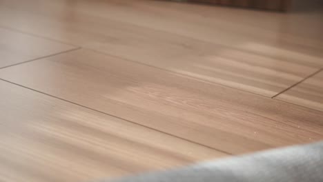 close-up of a decorative rug on a light wood floor