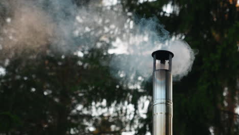 smoke comes out of a stove chimney in the woods