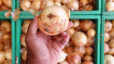 close-up of a hand holding an onion