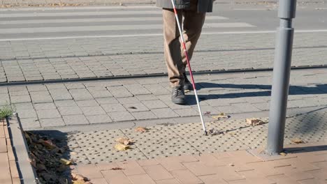 visually impaired man crossing the road with his stick with the help of tactile pedestrian sidewalk for the visually impaired in the city.