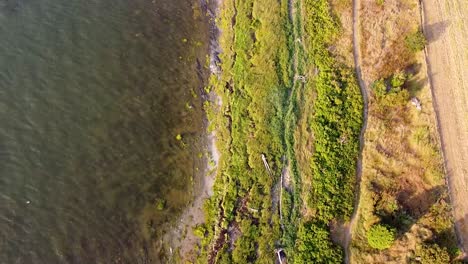 gaspesie, canadá. toma de drone de la costa