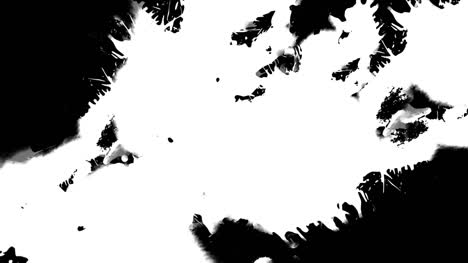 paquete de transiciones de tinta 3