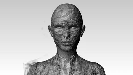 mujer en 3d desapareciendo