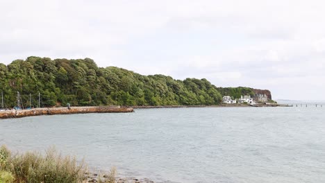 serene coastal view with lush greenery