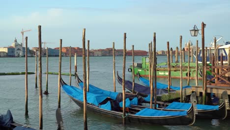 beautiful gondolas parked near the grand canal in venice