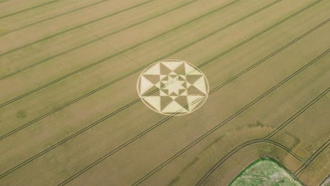 aerial view rising back from micheldever 2023 crop circle shaped into golden hampshire agricultural wheat field