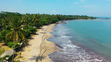 aerial view of a beach in a tropical island, drone still shot of the seashore coastline during a sunny day