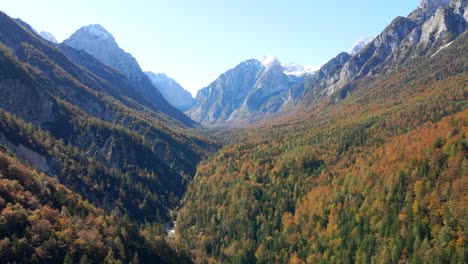 aerial view down a valley filled with autumn colours on a clear blue skies day in the alpine country of slovenia