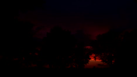 sunset time lapse with silhouette of trees