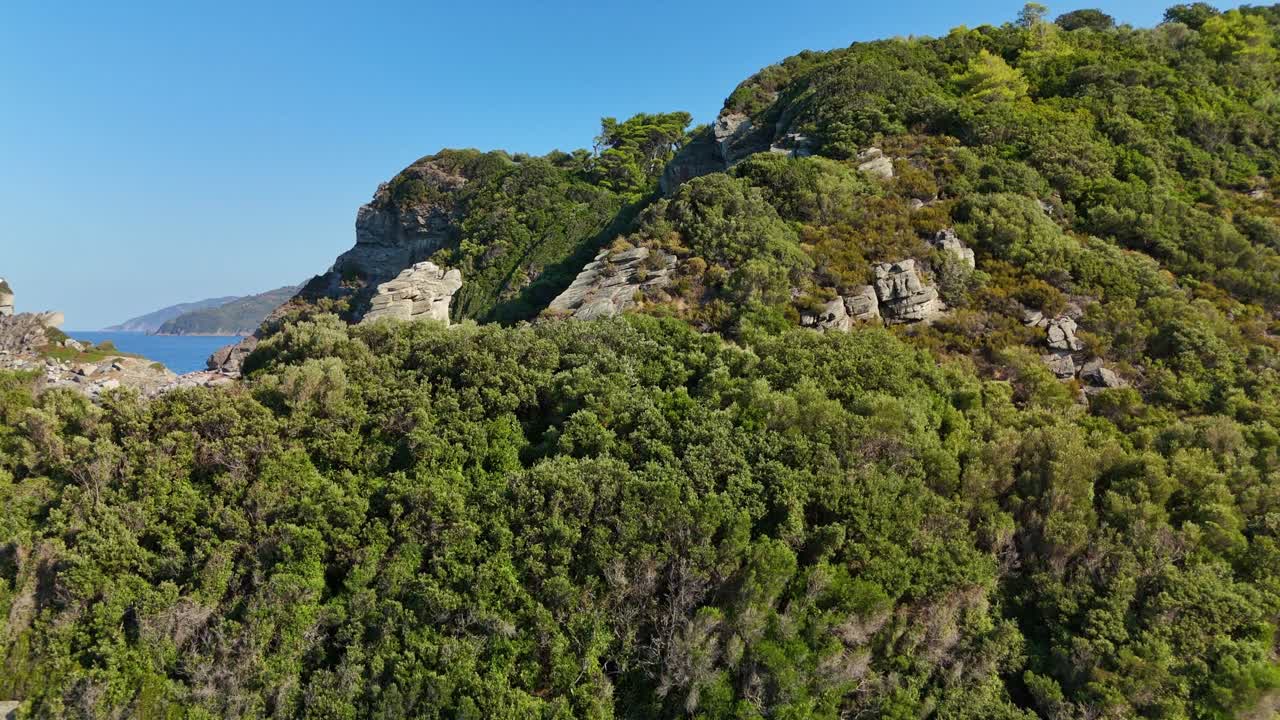 Lush green cliffs with dense vegetation overlooking a scenic coastal landscape on a sunny day