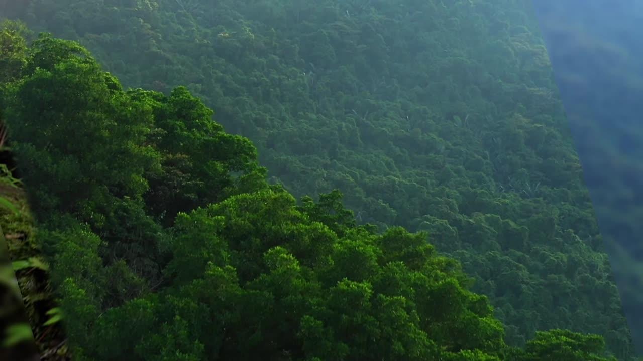 Night Sea with Moon and Mountains Landscape