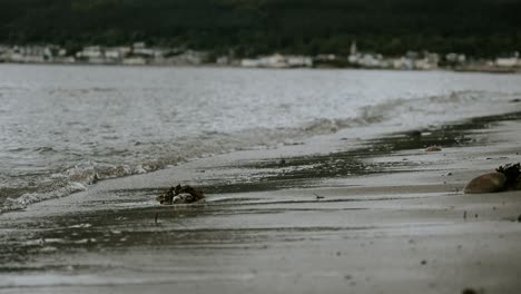 Waves-on-beach,-seaside-town-in-background