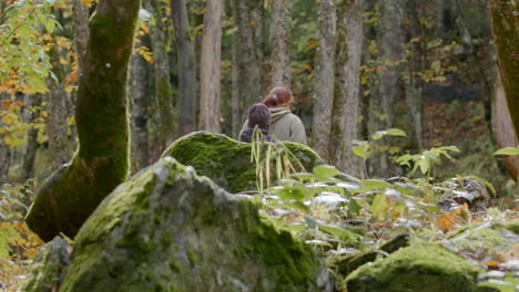 caminata por el bosque en otoño