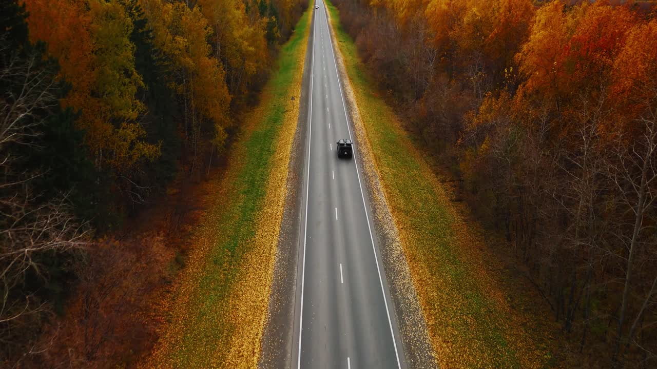 Herbststraße durch den Wald