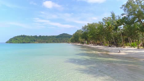 beautiful tropical beach with palm trees and turquoise water