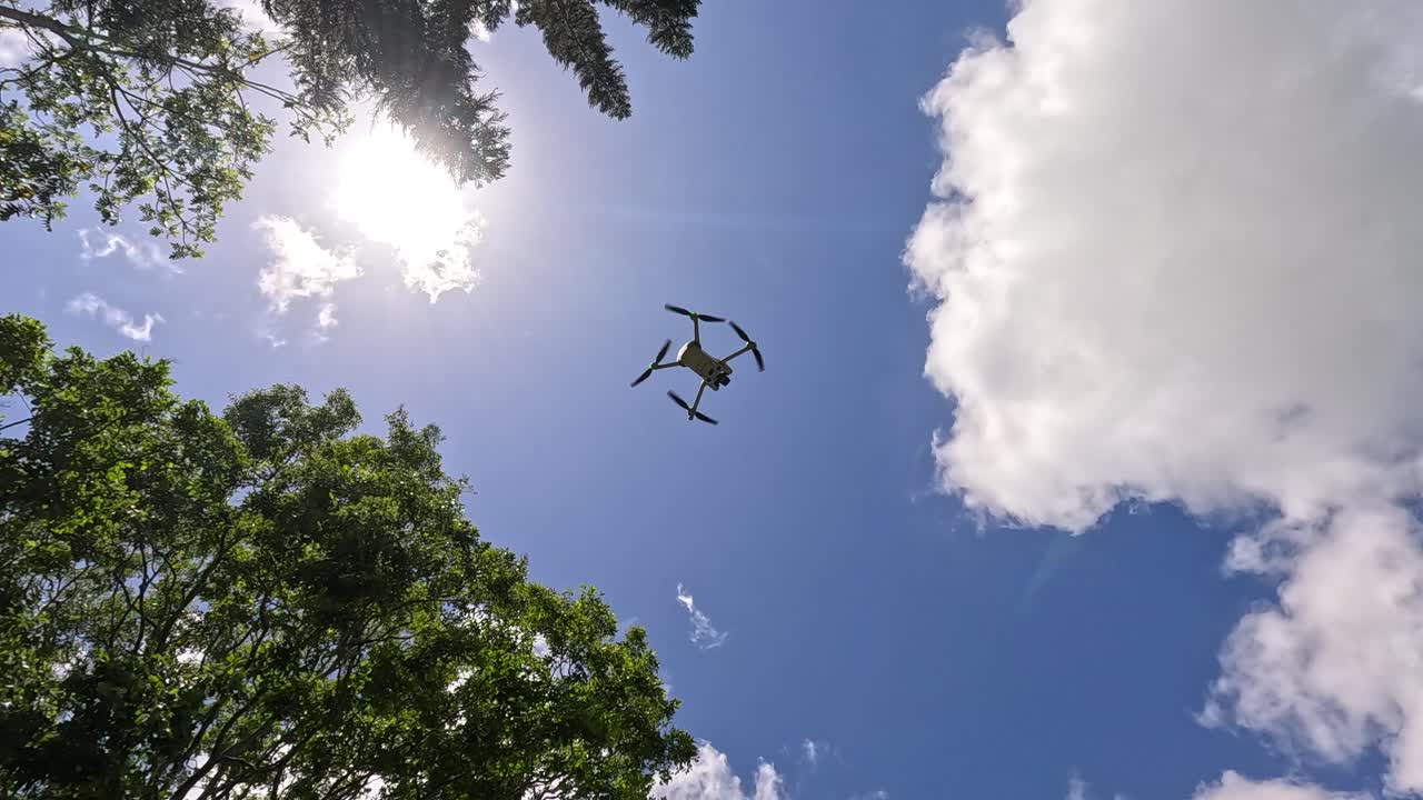 A drone rises through a clear sky, framed by trees and sunlight, capturing dynamic aerial movement