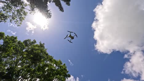 a drone rises through a clear sky, framed by trees and sunlight, capturing dynamic aerial movement
