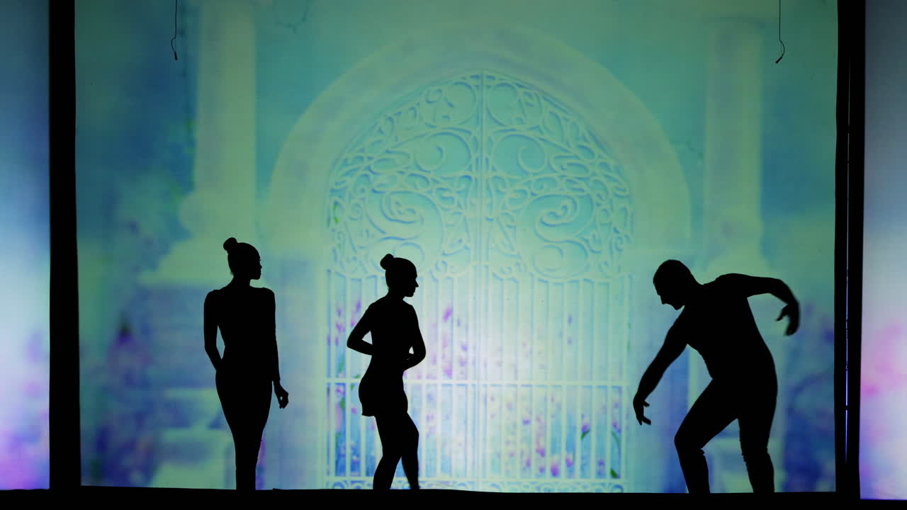 Shadow Puppet Performance