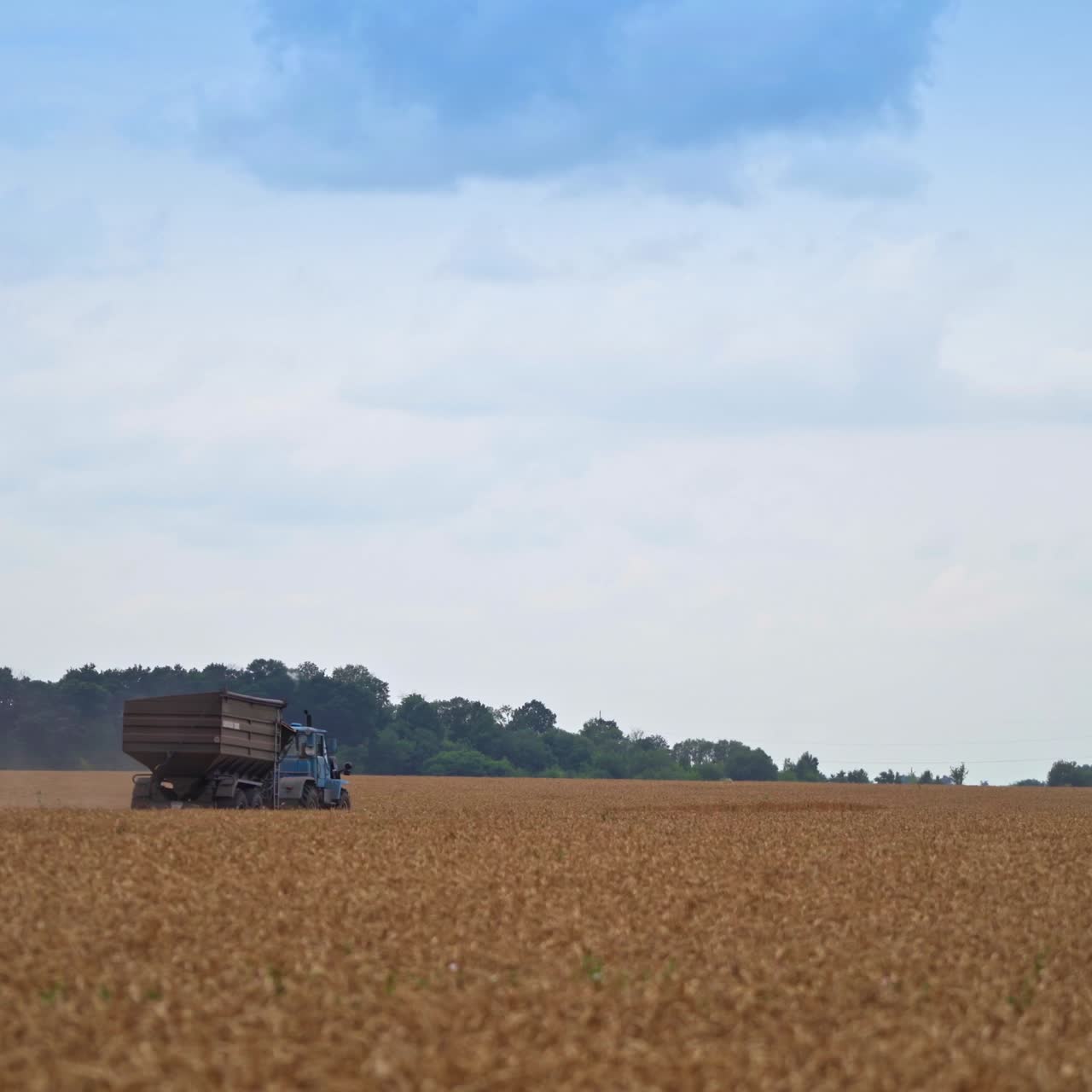 Agricultural machines moving in the wheat field. Track heading to the combine harvester. Work in the field in the end of the day