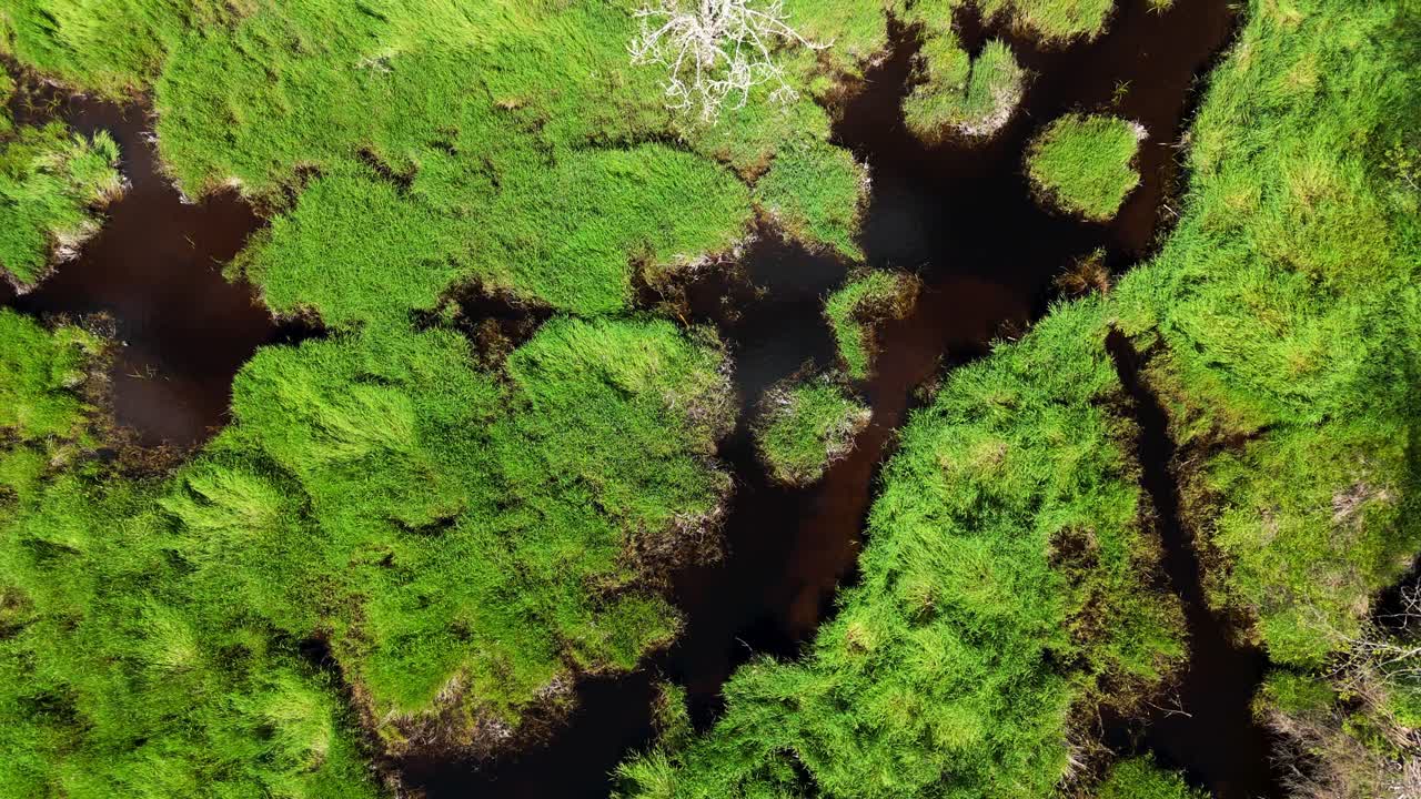 Scenic aerial ascending shot over grassy wetlands and landscape in Snohomish Washington State