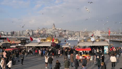 a view of the galata tower in istanbul, turkey, with crowds of people, sea gulls, and boats