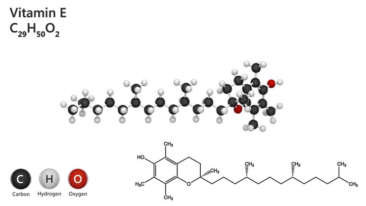 Vitamin E (alpha-Tocopherol). Seamless loop.