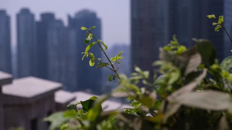 Eine-Abstrakte-Kreative-Aufnahme-Der-Wolkenkratzer-Der-Twin-City-Namsan-In-Seoul,-Südkorea