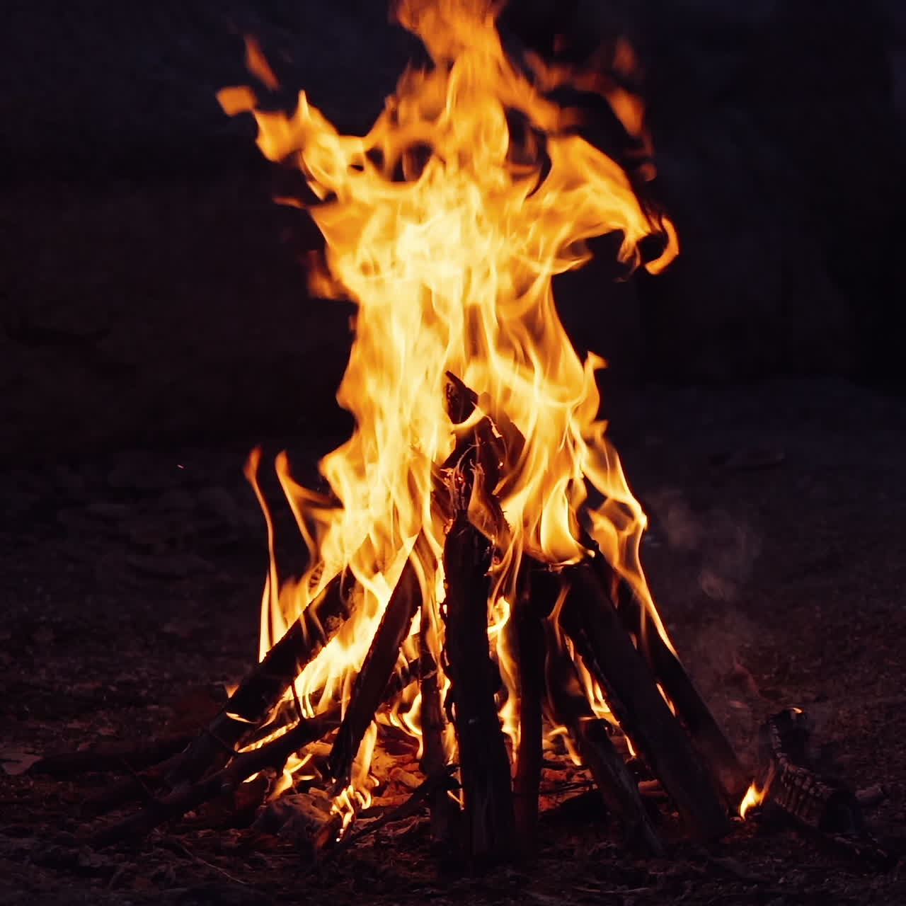 Burning fire. Bonfire. Closeup of flames burning on black background, slow motion