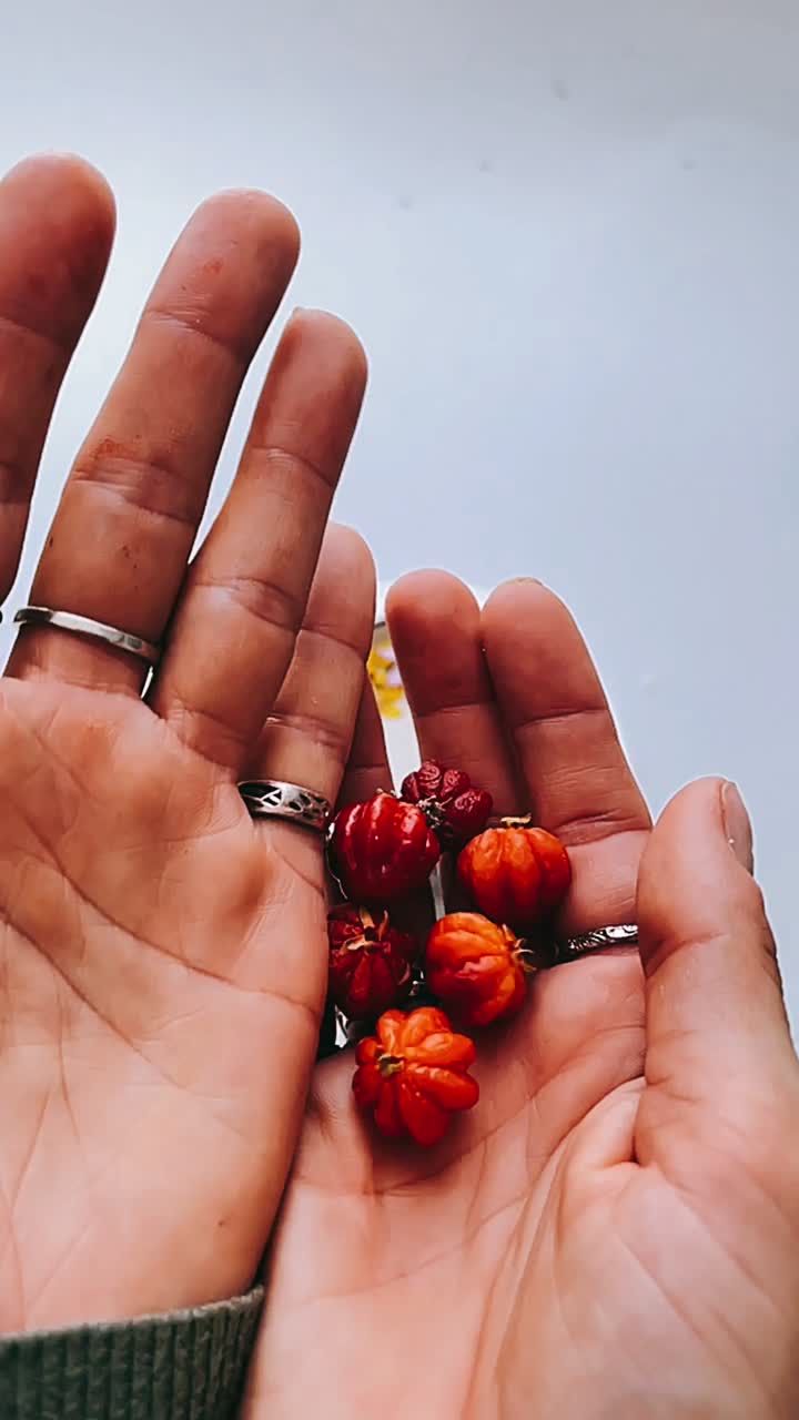 Hands Holding Small Red Fruits