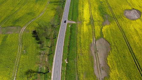 4K-Luftaufnahmen-Von-Autos,-Die-Auf-Einer-Autobahn-In-Rapsfeldern-Fahren