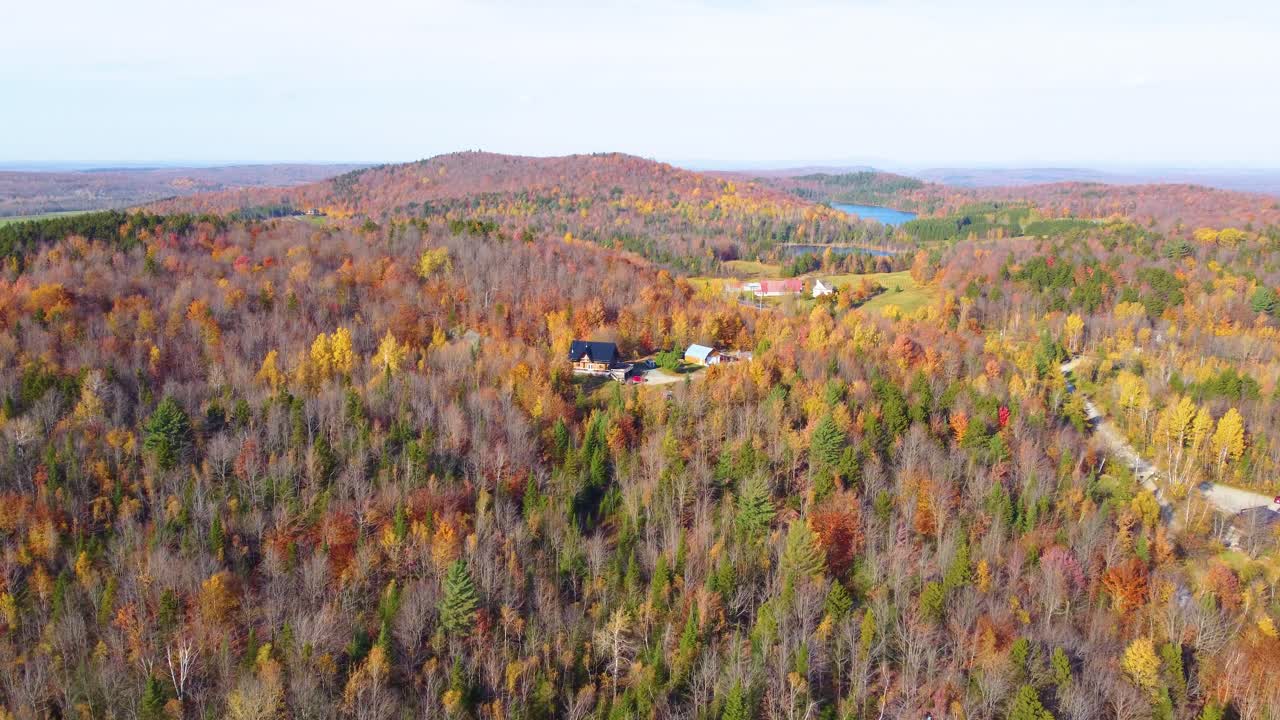 Beautiful countryside rural farm home retreat in middle of dense forest in late fall, golden treetops