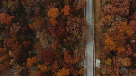 top down view of lush autumn forest and country road in arkansas, usa - drone shot