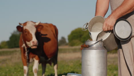 farmer pours milk into can at sunset 2