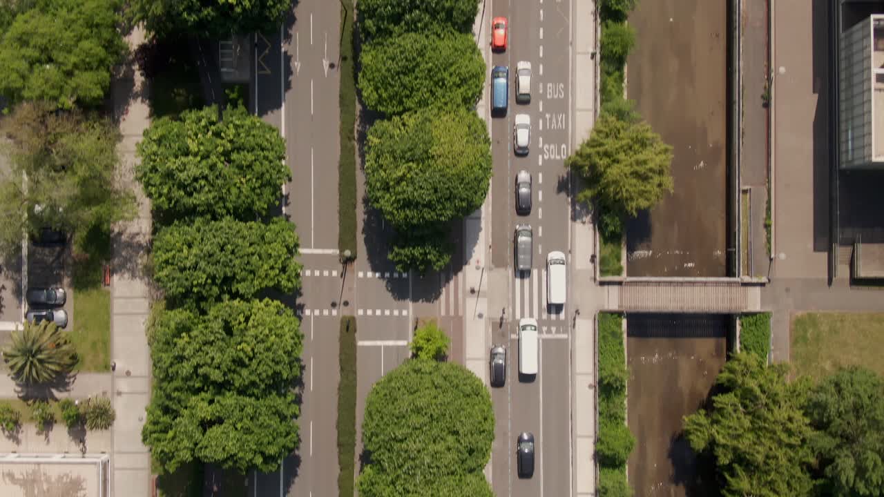 녹색 활기찬 나무와 산 세바스티안의 도시 거리 교통, 위에서 아래로 공중보기