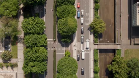 tráfico callejero de la ciudad de san sebastián con árboles verdes vibrantes, vista aérea de arriba hacia abajo